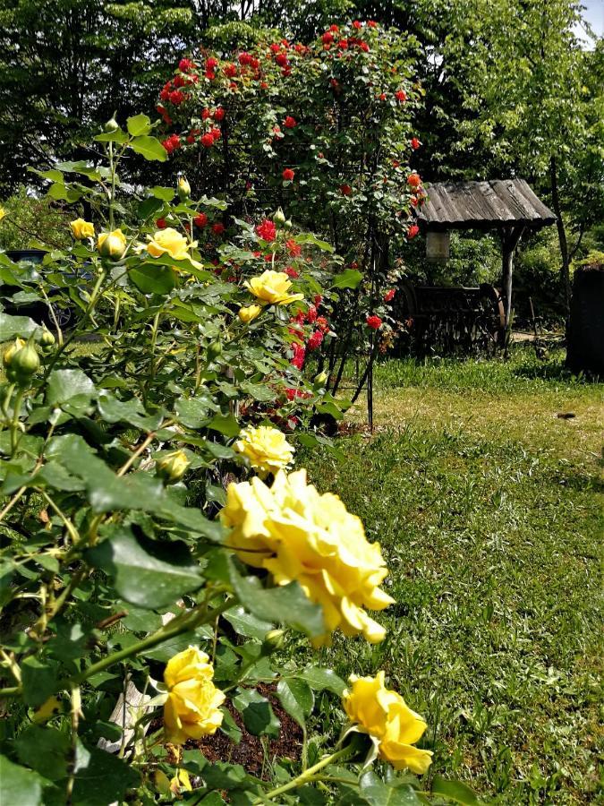 La Valle Nervesa della Battaglia Zewnętrze zdjęcie