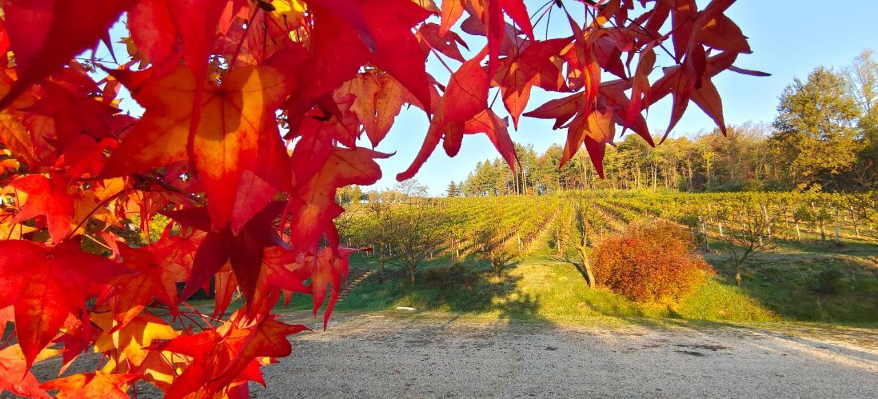 La Valle Nervesa della Battaglia Zewnętrze zdjęcie