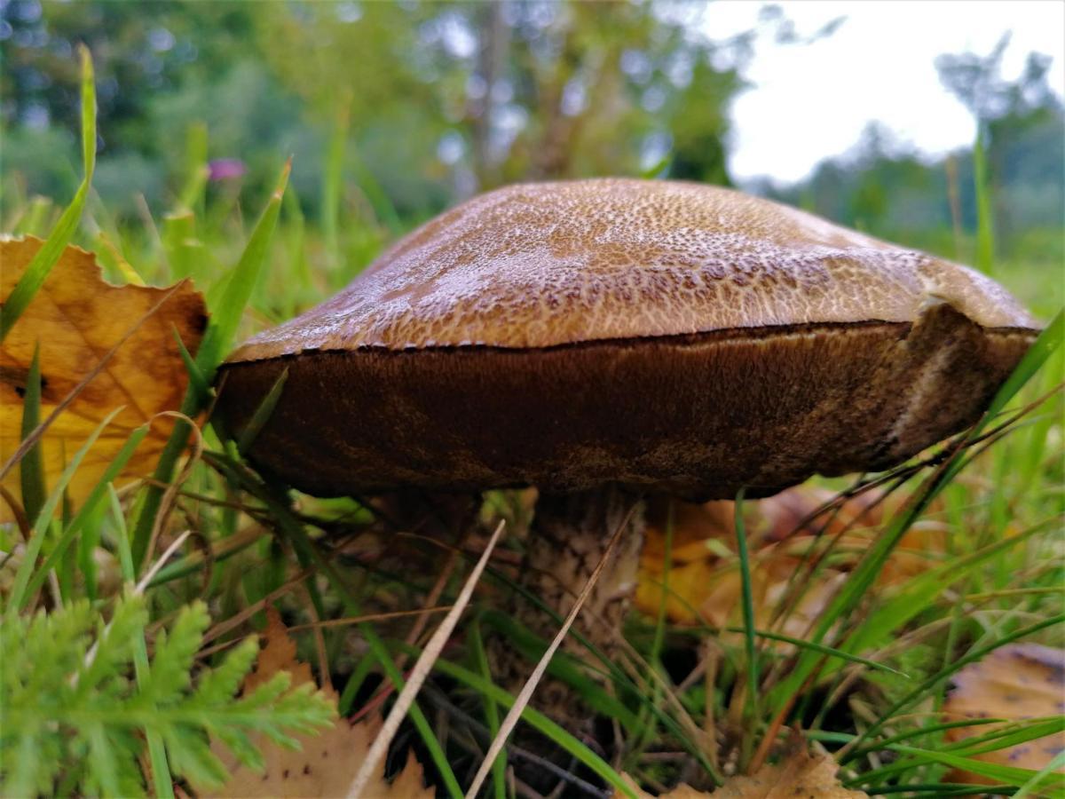 La Valle Nervesa della Battaglia Zewnętrze zdjęcie