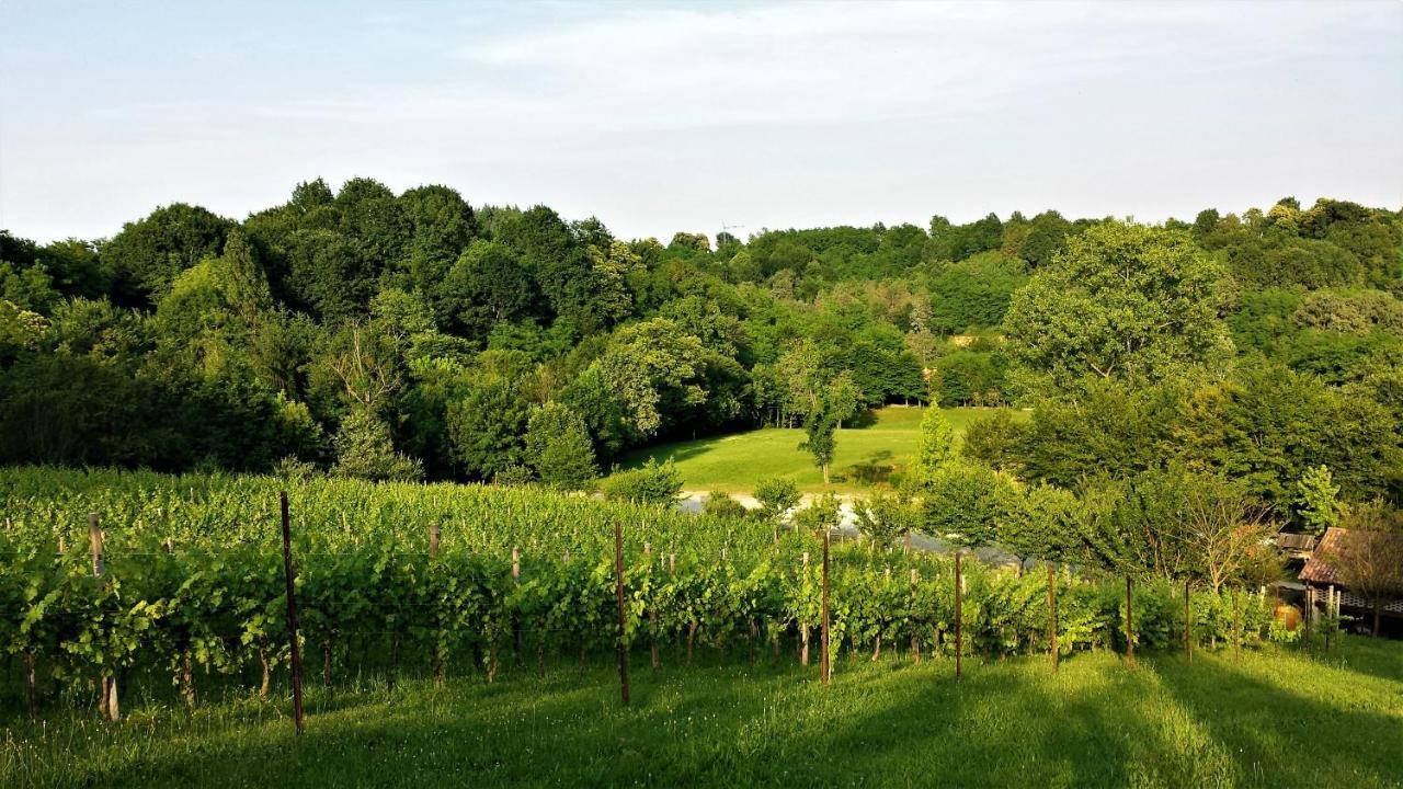 La Valle Nervesa della Battaglia Zewnętrze zdjęcie