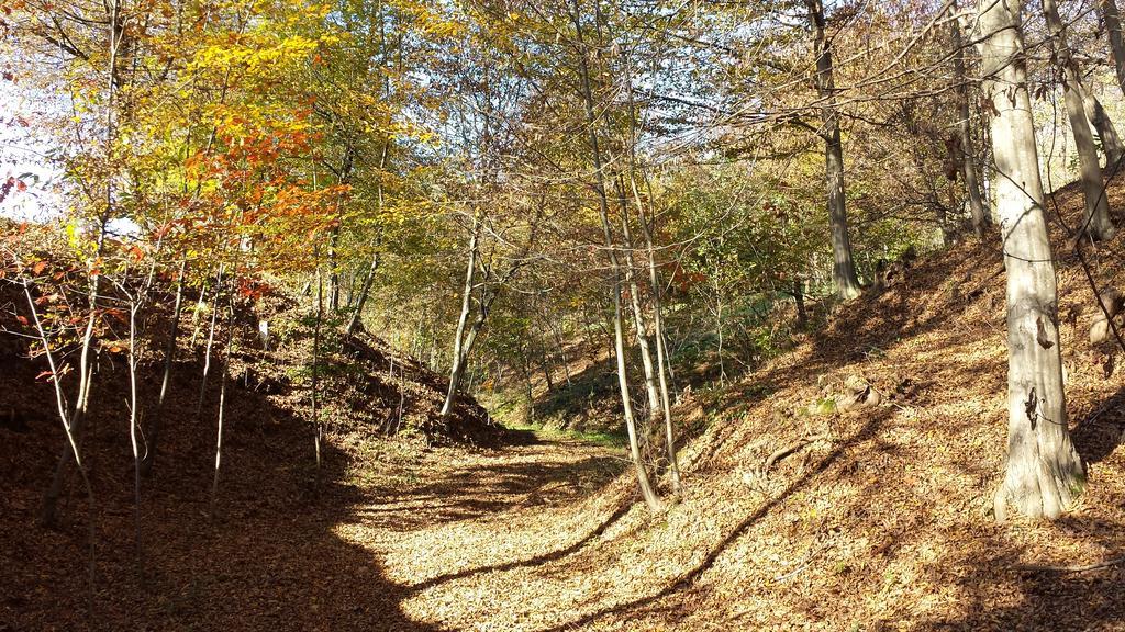 La Valle Nervesa della Battaglia Zewnętrze zdjęcie